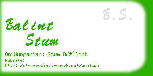 balint stum business card